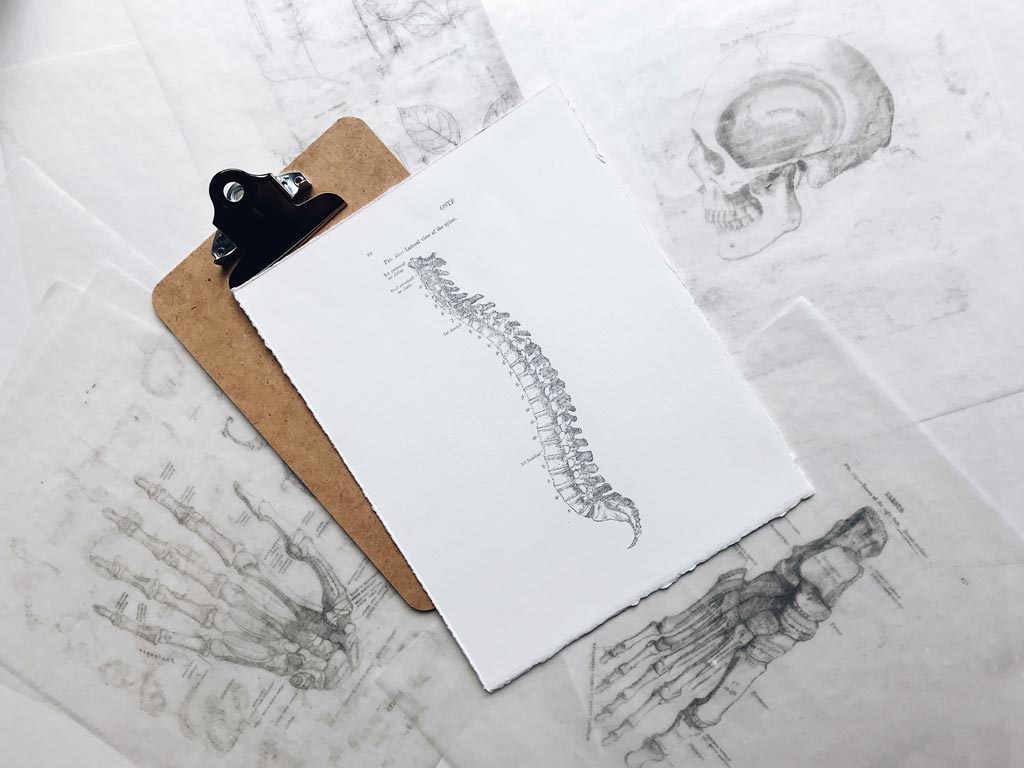 Lower Back Imaging. What Does it all mean? | Singleton Physiotherapy
